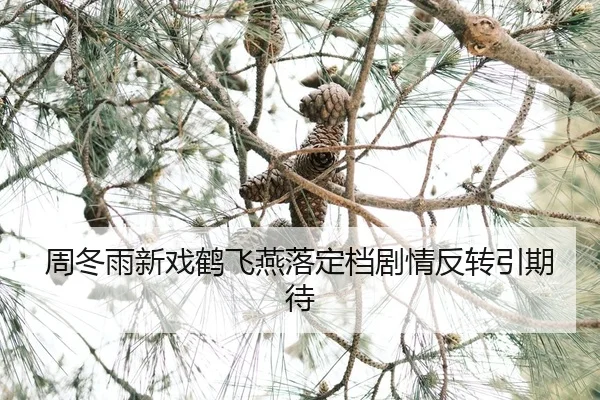 zhou-dong-yu-xin-xi-he-fei-yan-luo-ding-dang-ju-qing-fan-zhuan-yin-qi-dai-2-595.jpg