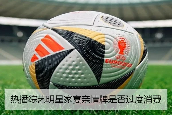 热播综艺明星家宴亲情牌是否过度消费